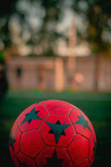 仅让各自的 仅让各自的