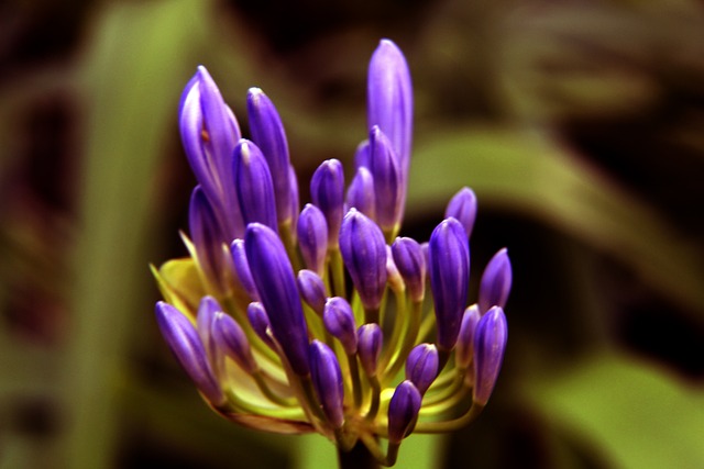 心中锋的潜 心中锋的潜