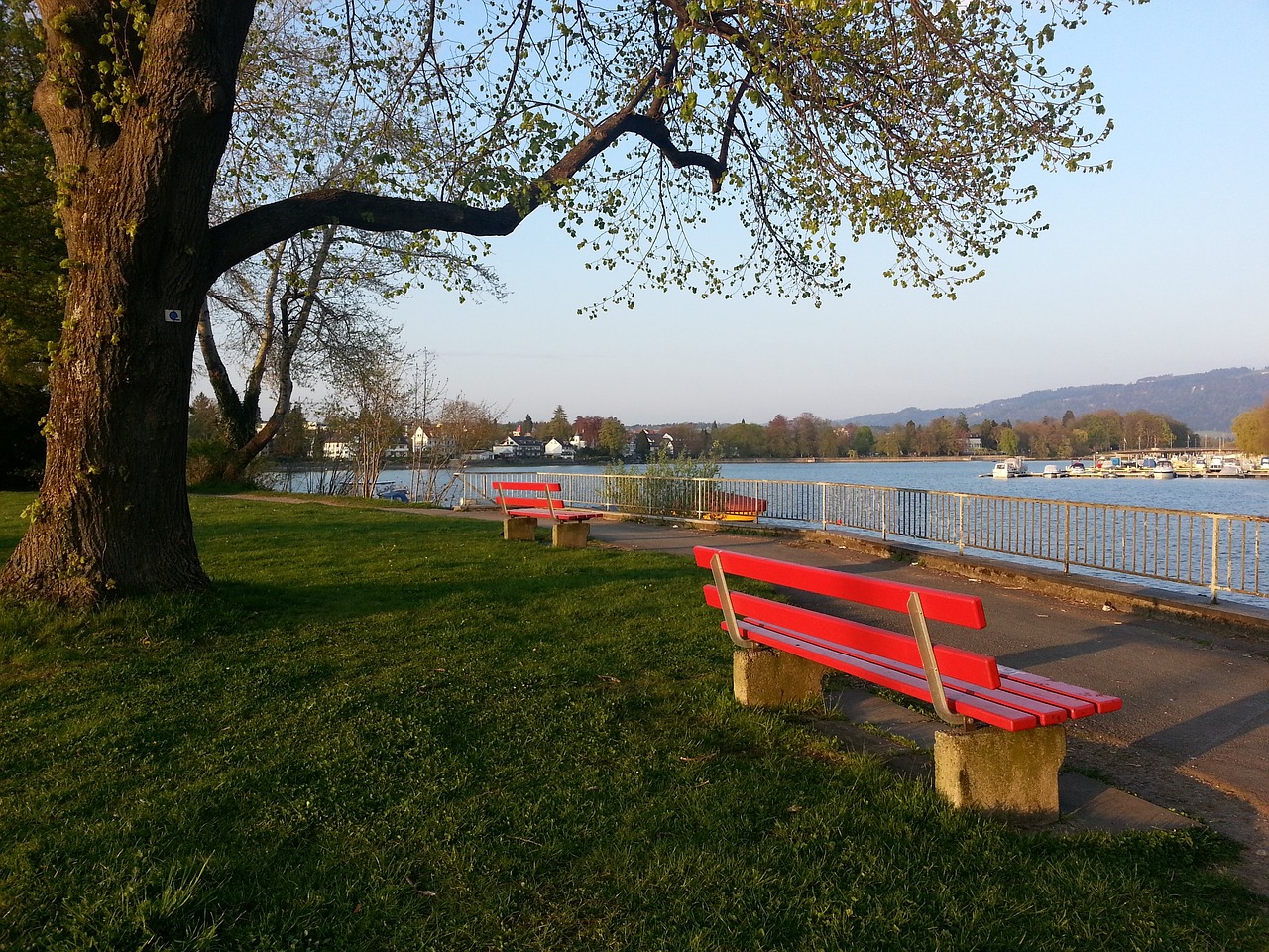 响力毋庸置 响力毋庸置