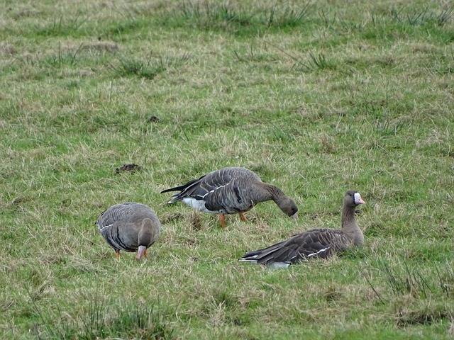 大大提升了 大大提升了