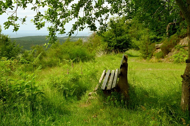 力求稳定 力求稳定