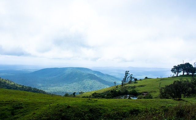 英锦赛特鲁姆普遭爆冷无缘16强 李行6-4胜傅家俊.