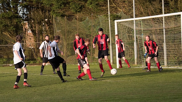 双方的体能 双方的体能