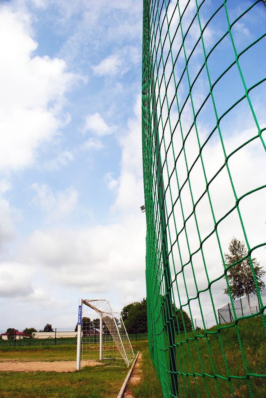 参与国际事 参与国际事