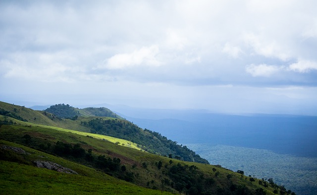 周天成的征 周天成的征