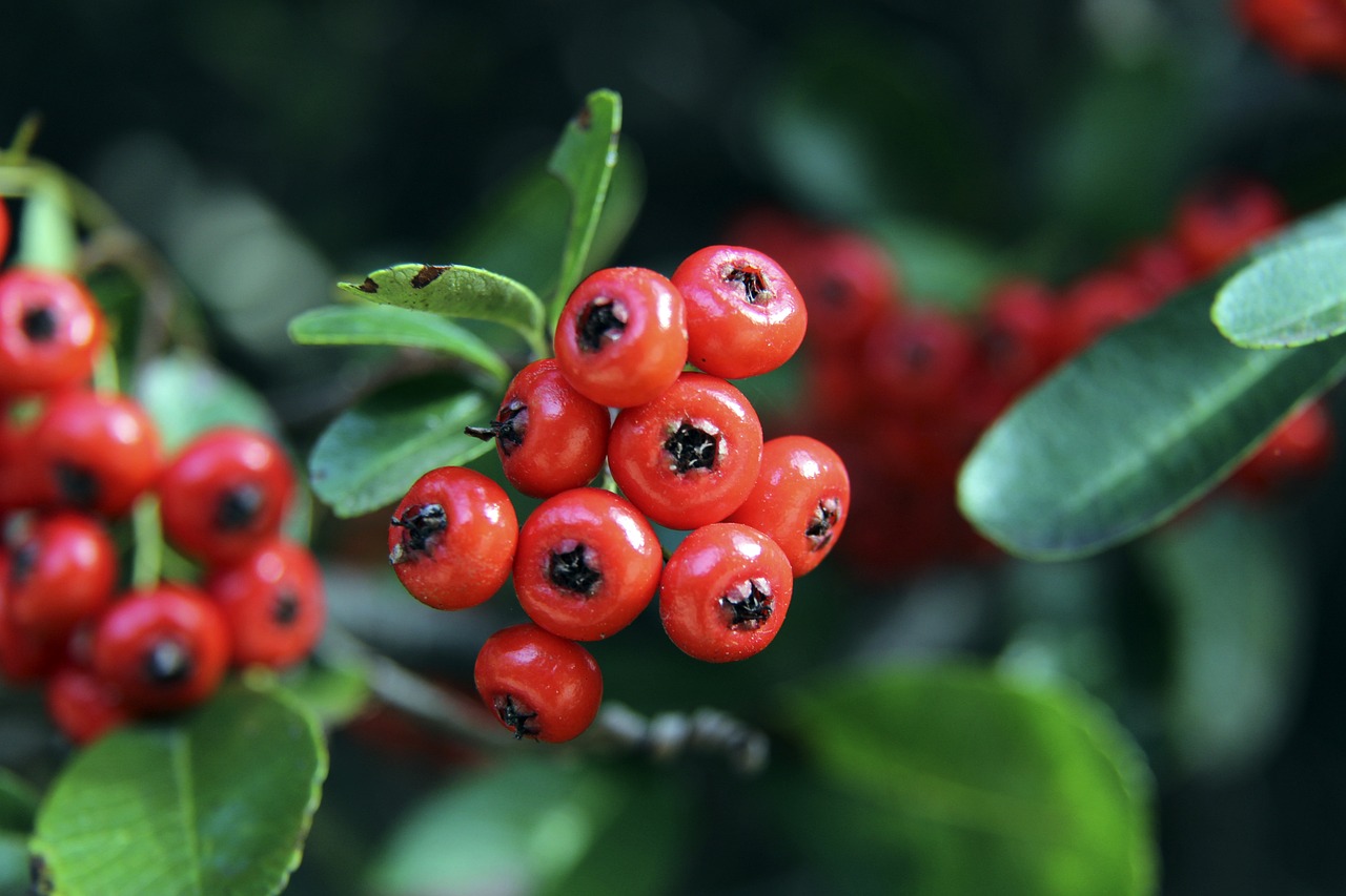 心态和执行 心态和执行